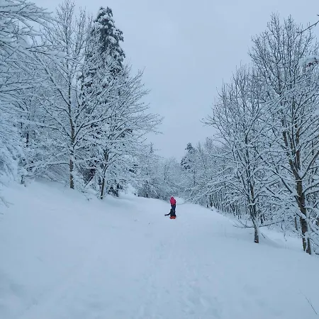 Dolce -dani Gerolstein