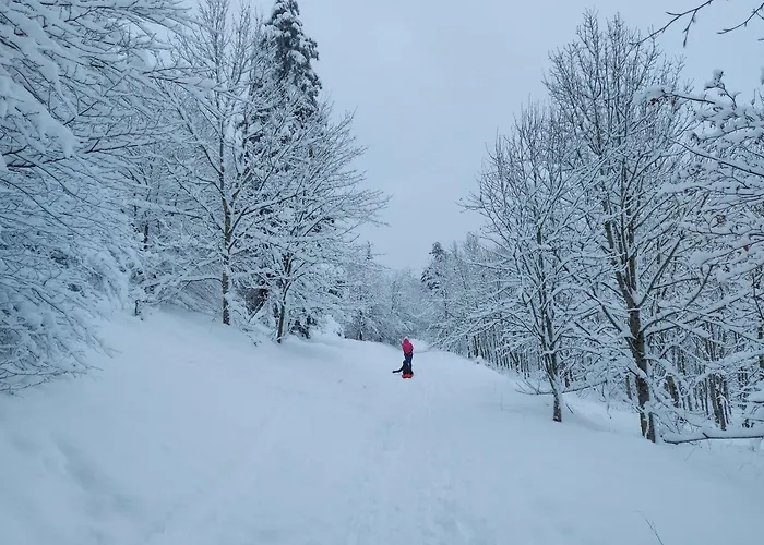 Dolce -dani Gerolstein